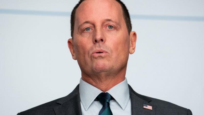 Ric Grenell portrait