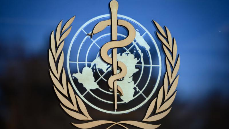 World Health Organization logo