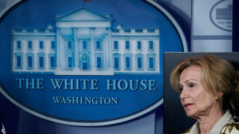 Dr. Deborah Birx at a White House briefing