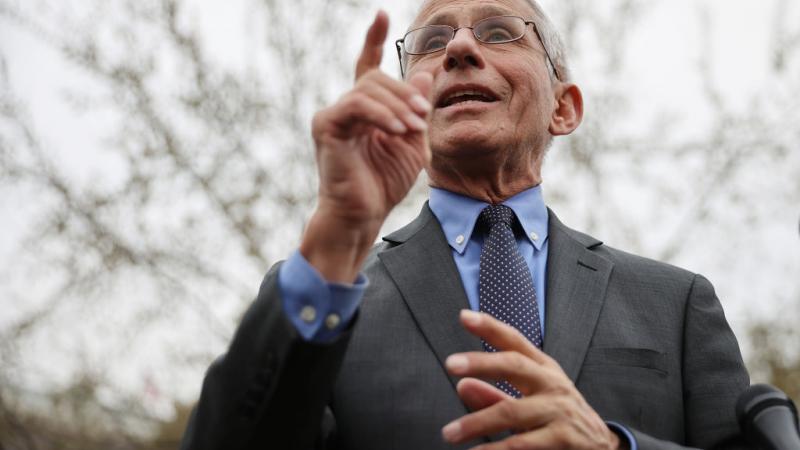 National Institute Of Allergy And Infectious Diseases Director Anthony Fauci on March 12, 2020