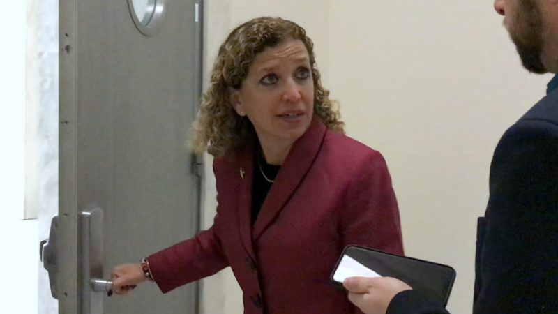 Rep. Wasserman Schultz on Capitol Hill