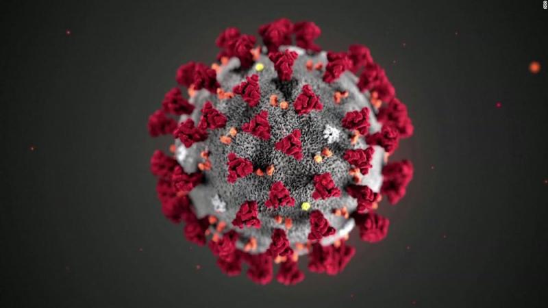 Coronavirus molecule