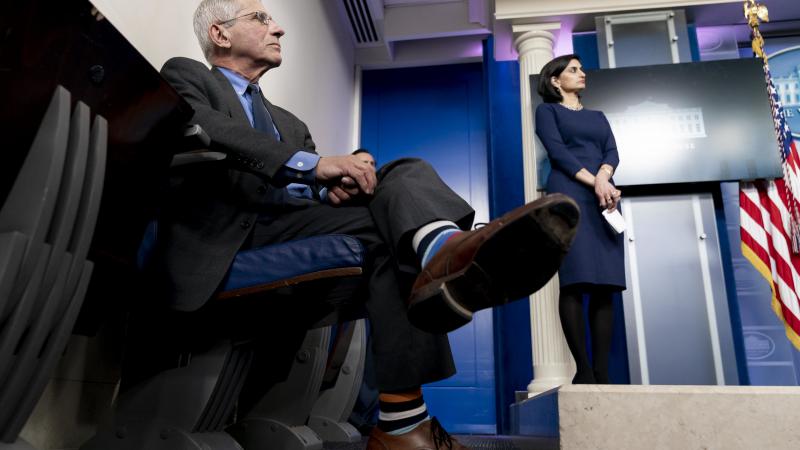 Director of the National Institute of Allergy and Infectious Diseases Dr. Anthony S. Fauci and Administrator for the Centers for Medicare and Medicaid Services Seema Verma participate in a coronavirus update briefing Tuesday, April 7, 2020