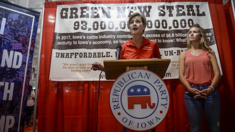 Iowa Gov. Kim Reynolds