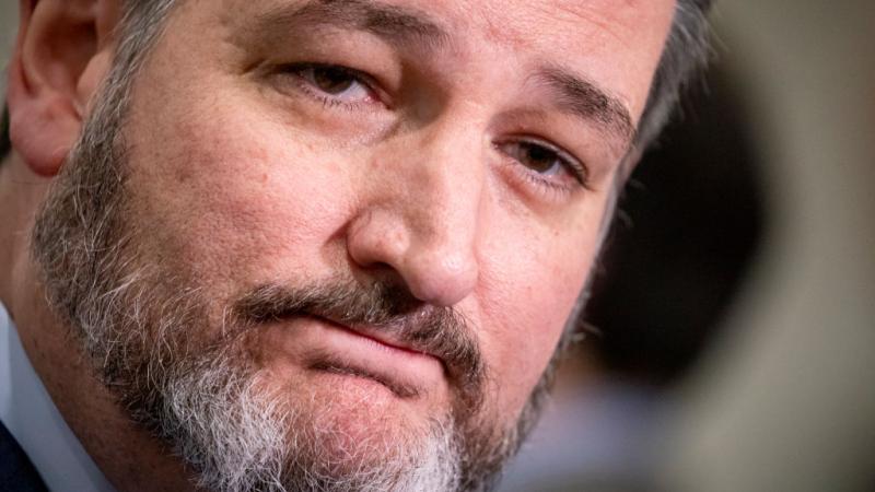 Texas Sen. Ted Cruz in January 2020