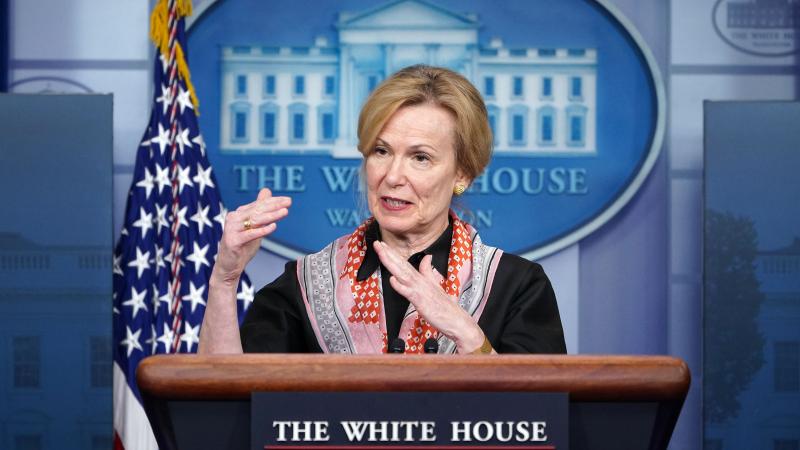 Deborah Birx at a White House coronavirus press briefing