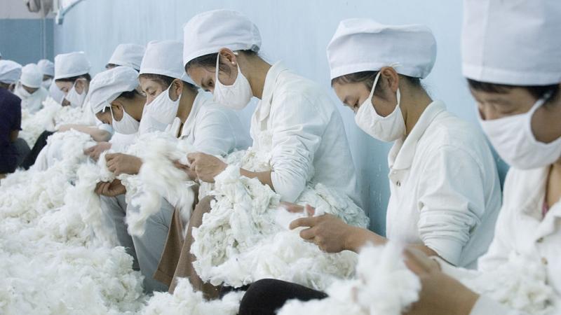 Workers at a Chinese cotton factory