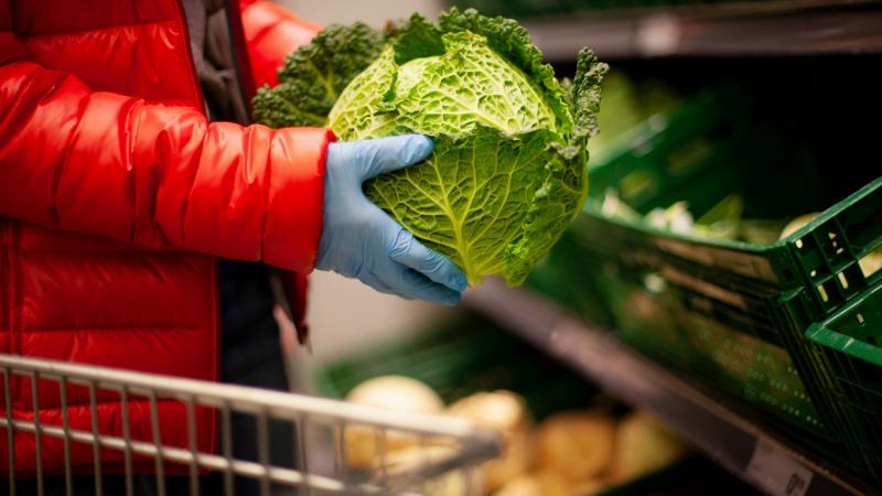 A shopper picking out cabbage