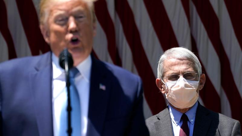Dr. Fauci behind President Trump at a press conference