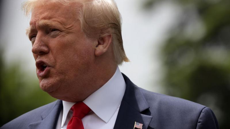 Donald Trump speaking to press on White House South Lawn on May 21, 2020