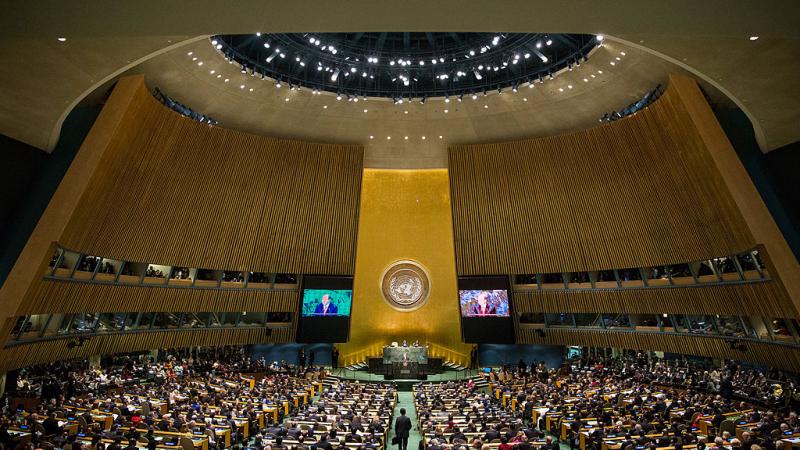 U.N. General Assembly