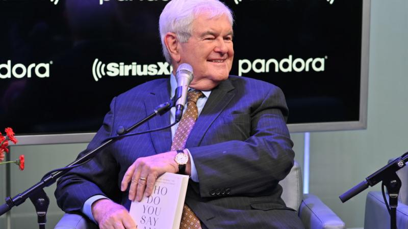 Former House Speaker Newt Gingrich