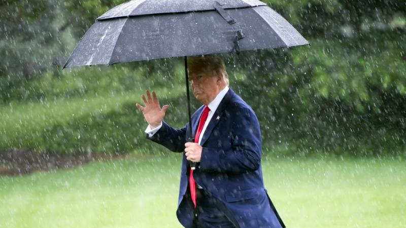 President Trump on June 11, 2020