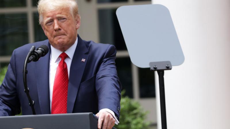 President Trump in the Rose Garden, 6/16