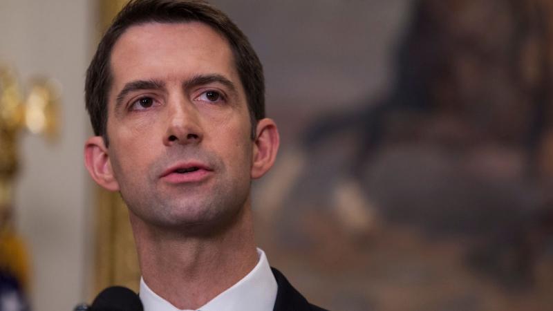 Arkansas Senator Tom Cotton