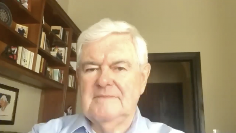 House Speaker Gingrich