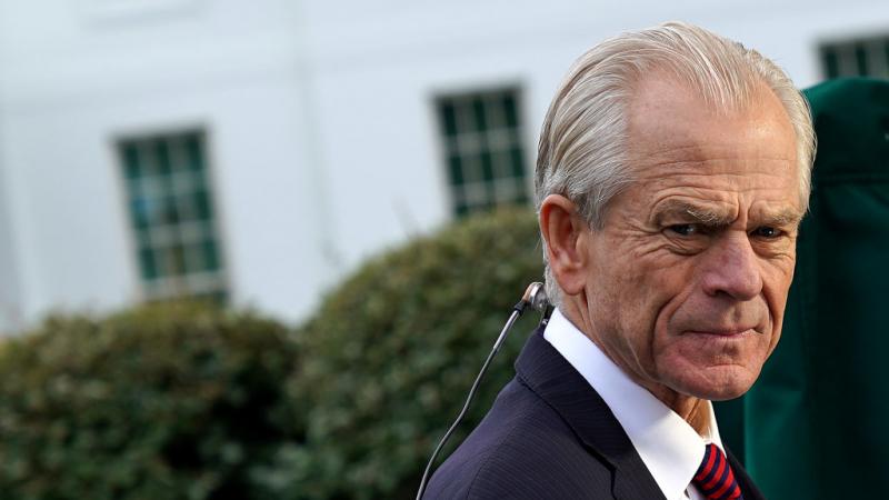 White House National Trade Council Director Peter Navarro 