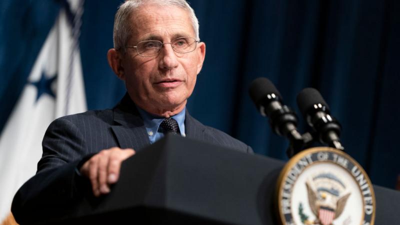 Director of the National Institute of Allergy and Infectious Diseases Dr. Anthony Fauci in June 2020