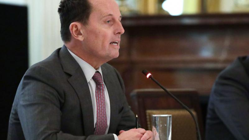 Richard Grenell, May 19, 2020