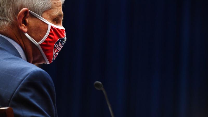 Anthony Fauci on Jul. 31