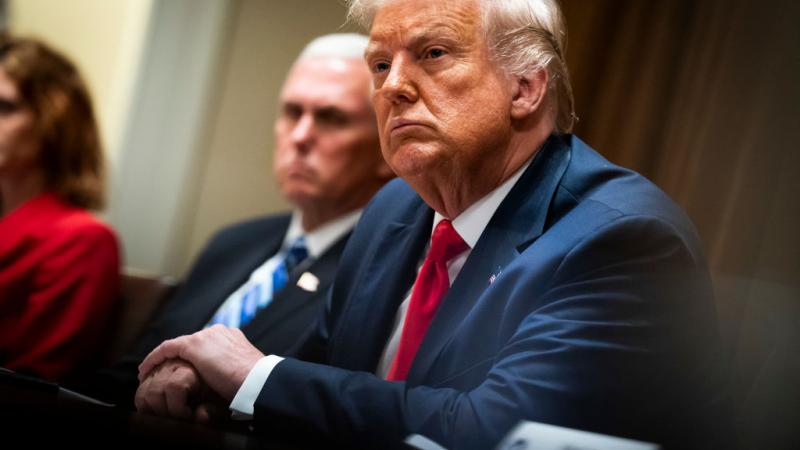 President Trump on August 3, 2020