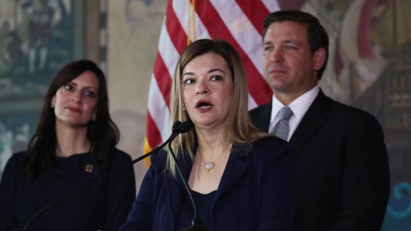 Judge Barbara Lagoa, potential Supreme Court nominee 