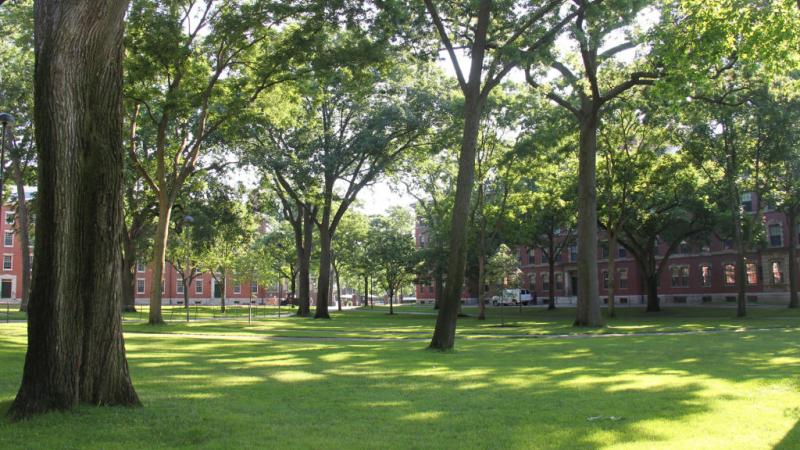 Harvard University, where Facebook was born