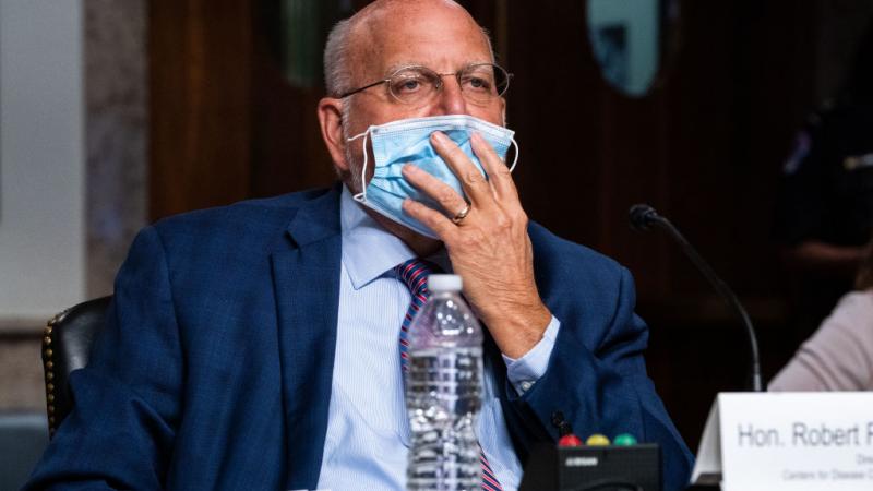 Robert Redfield testifies at the Senate on Sept. 16