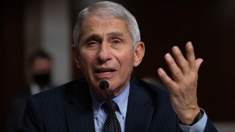 Fauci testifies before the Senate Health, Education, Labor, and Pensions Committe