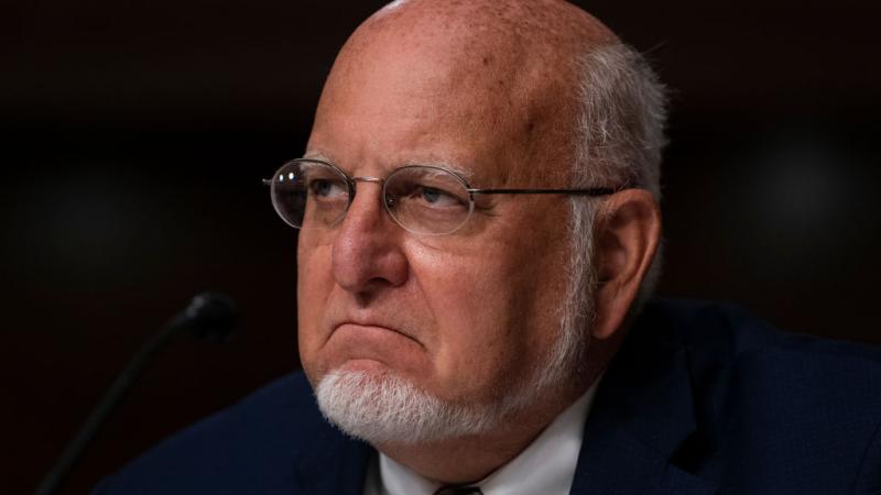 CDC Director Robert Redfield testifies before the Senate, Sept. 23