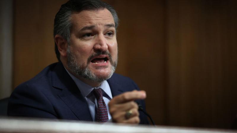 Sen. Ted Cruz on August 4, 2020