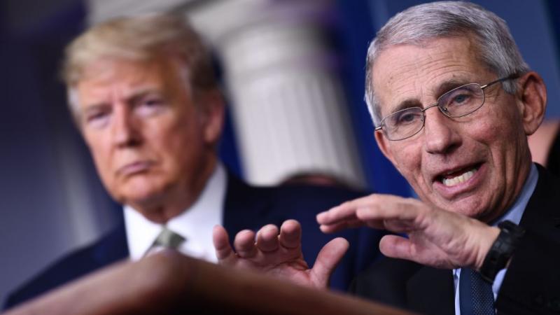 Dr. Anthony Fauci speaks while President Trump listens in March 2020
