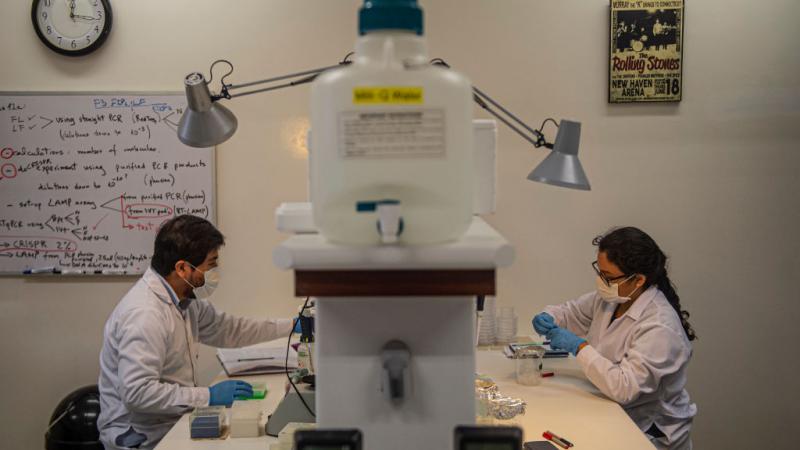 Scientists working in lab
