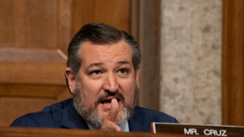 Sen. Ted Cruz (R-TX) questions former FBI Director James Comey.