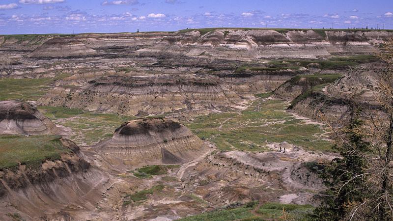 Horseshoe Canyon, where the bones were located.