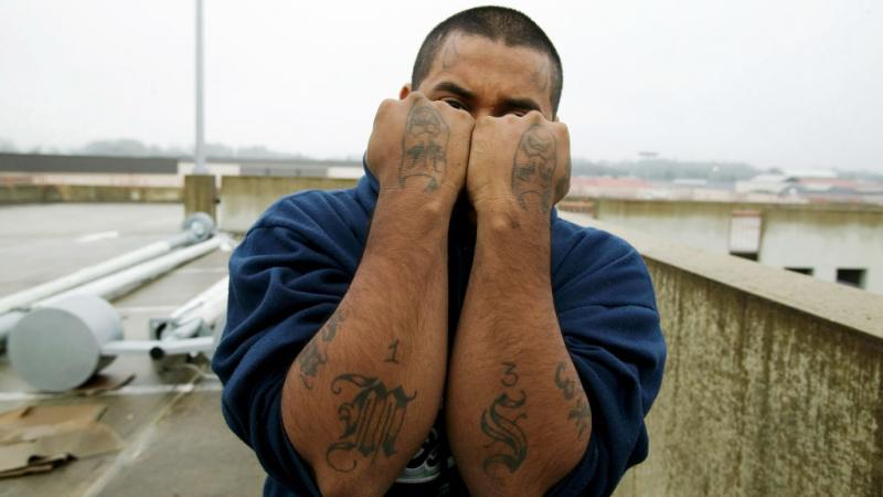 Man showing his gang tattoos in January 2006