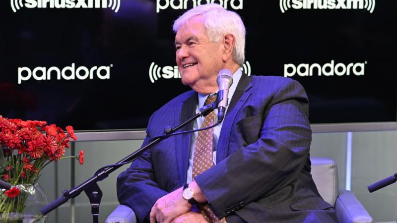 Newt Gingrich in 2019