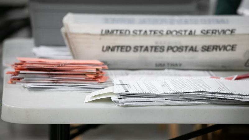 Ballots in Lawrenceville, GA