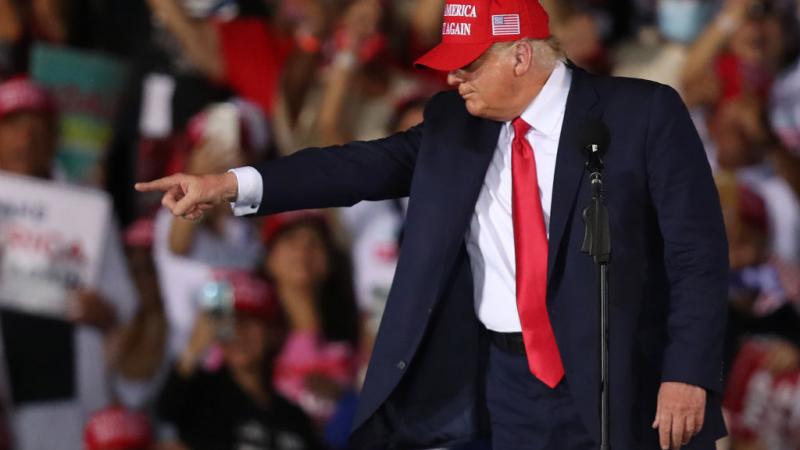 Donald Trump at a campaign rally, Nov. 1