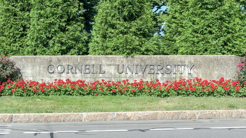 Cornell University sign 