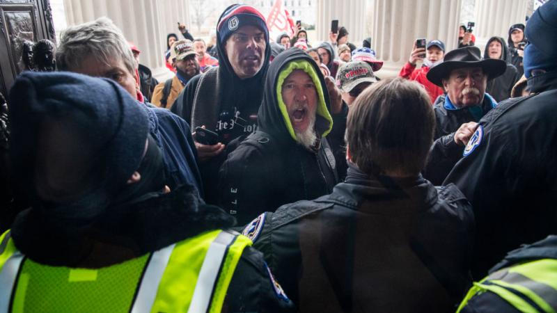 Protesters during the Capitol riot, Jan. 7