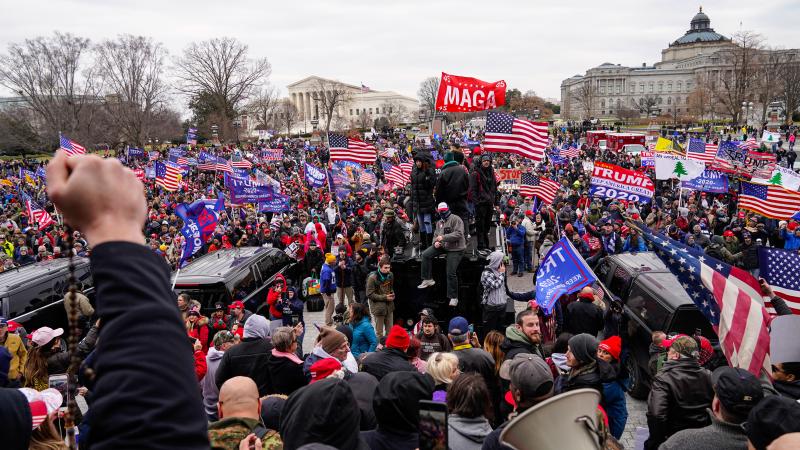 Crowds gather outside the U.S. Capitol for the "Stop the Steal" rally on January 06, 2021 in Washington, DC.