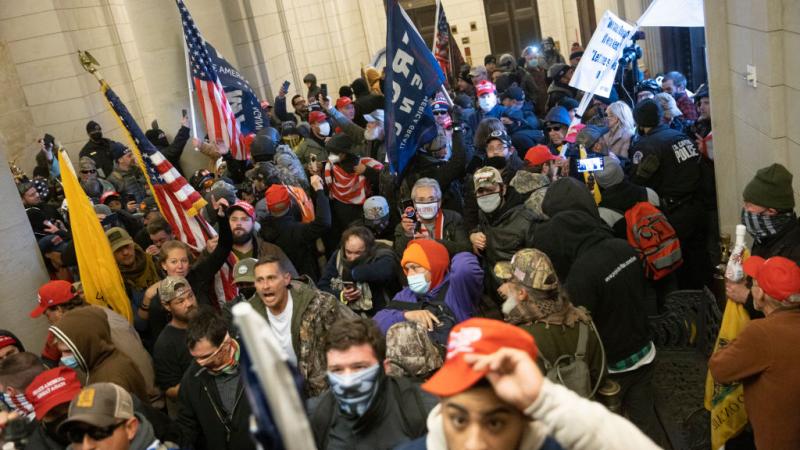 Rioters at the Capitol, Jan. 6