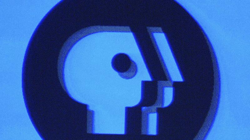 PBS logo on a monitor in 2005