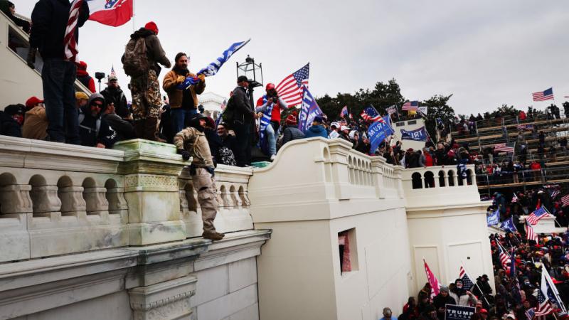 Protester scale walls at the Capitol