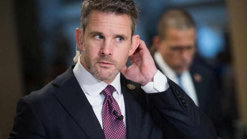 Rep. Adam Kinzinger (R-Ill.)