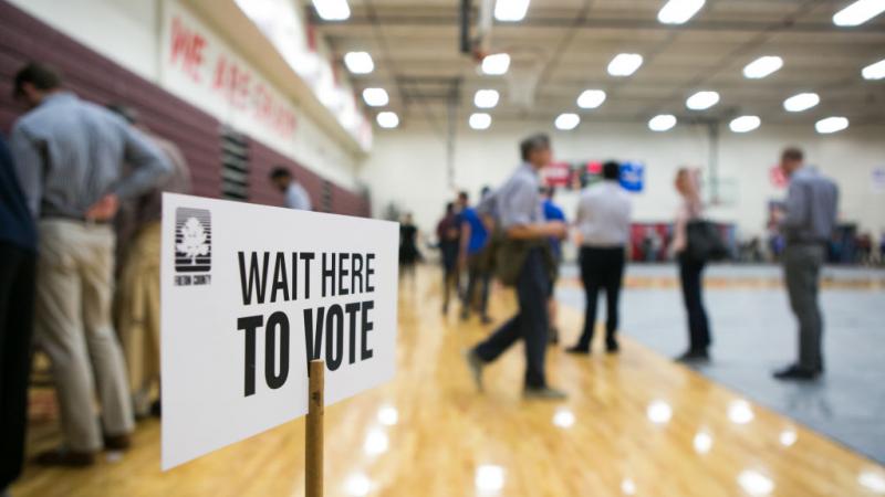 Voters lined up in Atlanta, Georgia in 2018