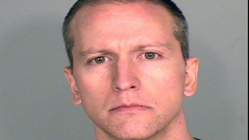 Former Minneapolis police officer Derek Chauvin poses for mugshot after getting charged in the death of George Floyd