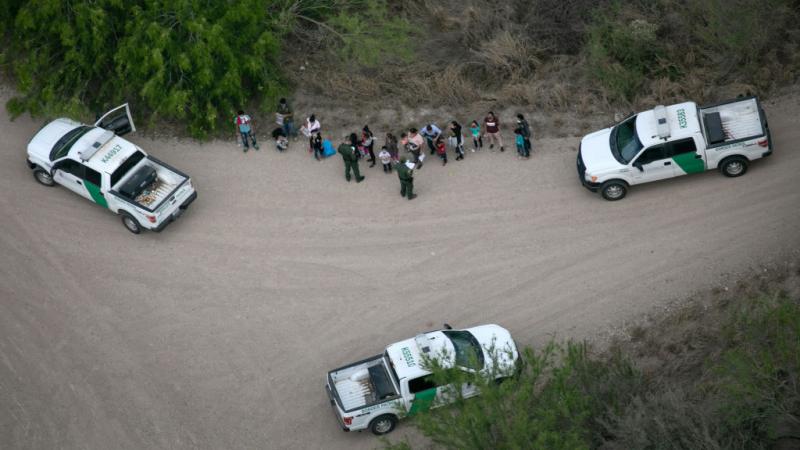 U.S. Border Patrol apprehends illegal immigrants, McAllen, TX, Mar. 23