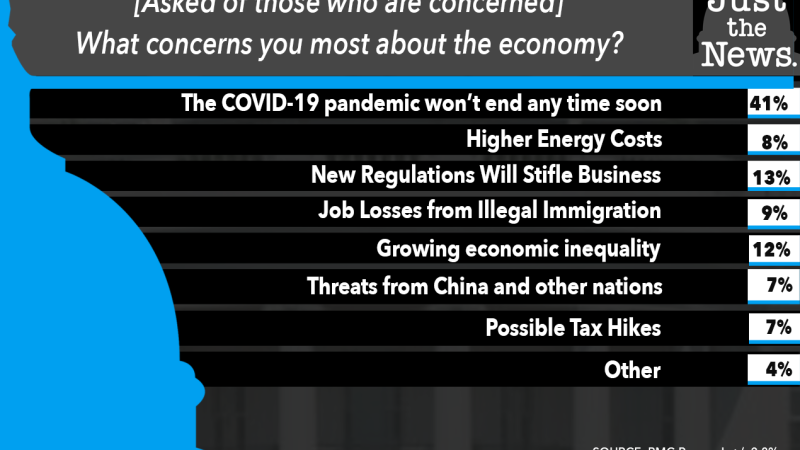 Just the News Poll, What concerns you most about the economy?